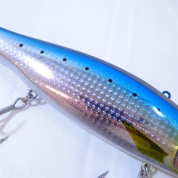 ＶＴジャック２３０イワシ